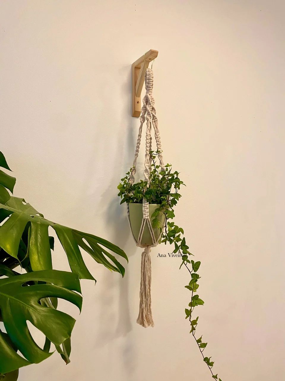 Plant hanger