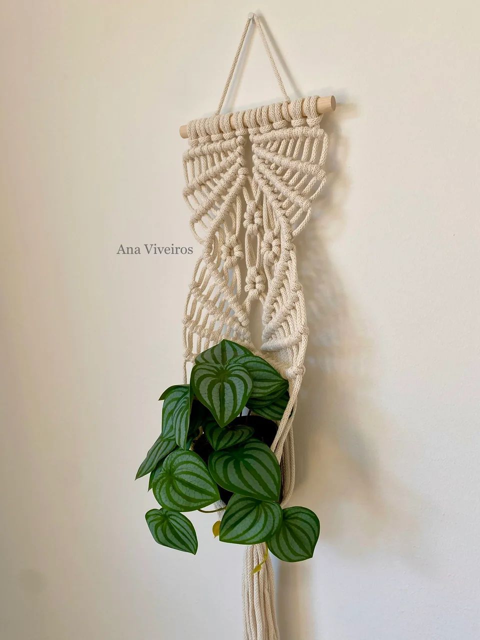 Plant hanger - Pantanal