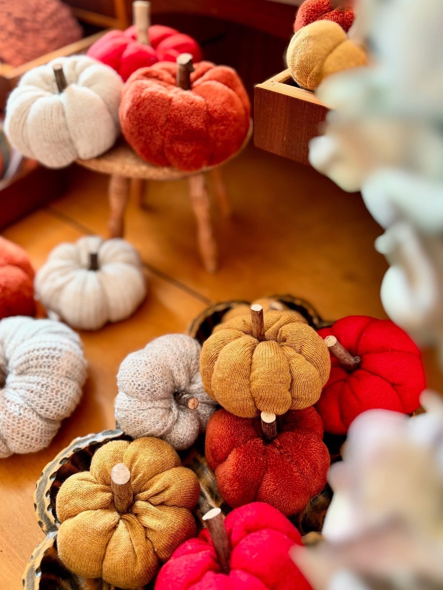 Mystery Pumpkin Bag