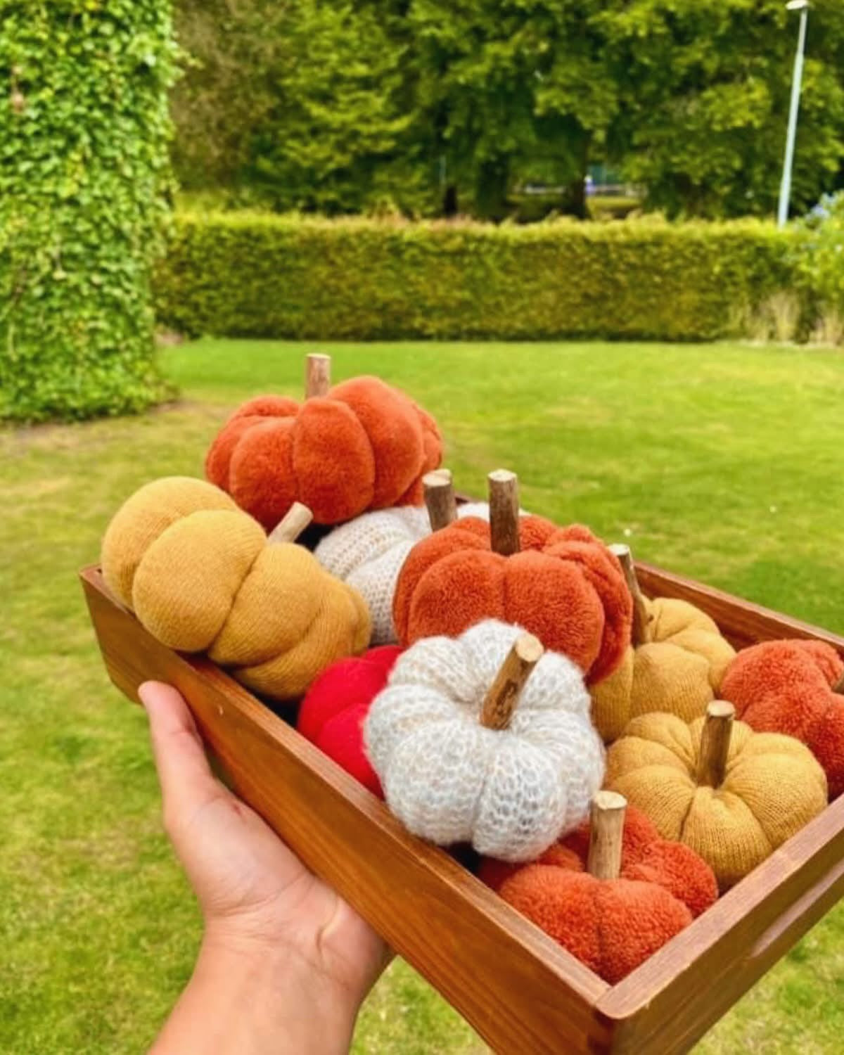 Mystery Pumpkin Bag