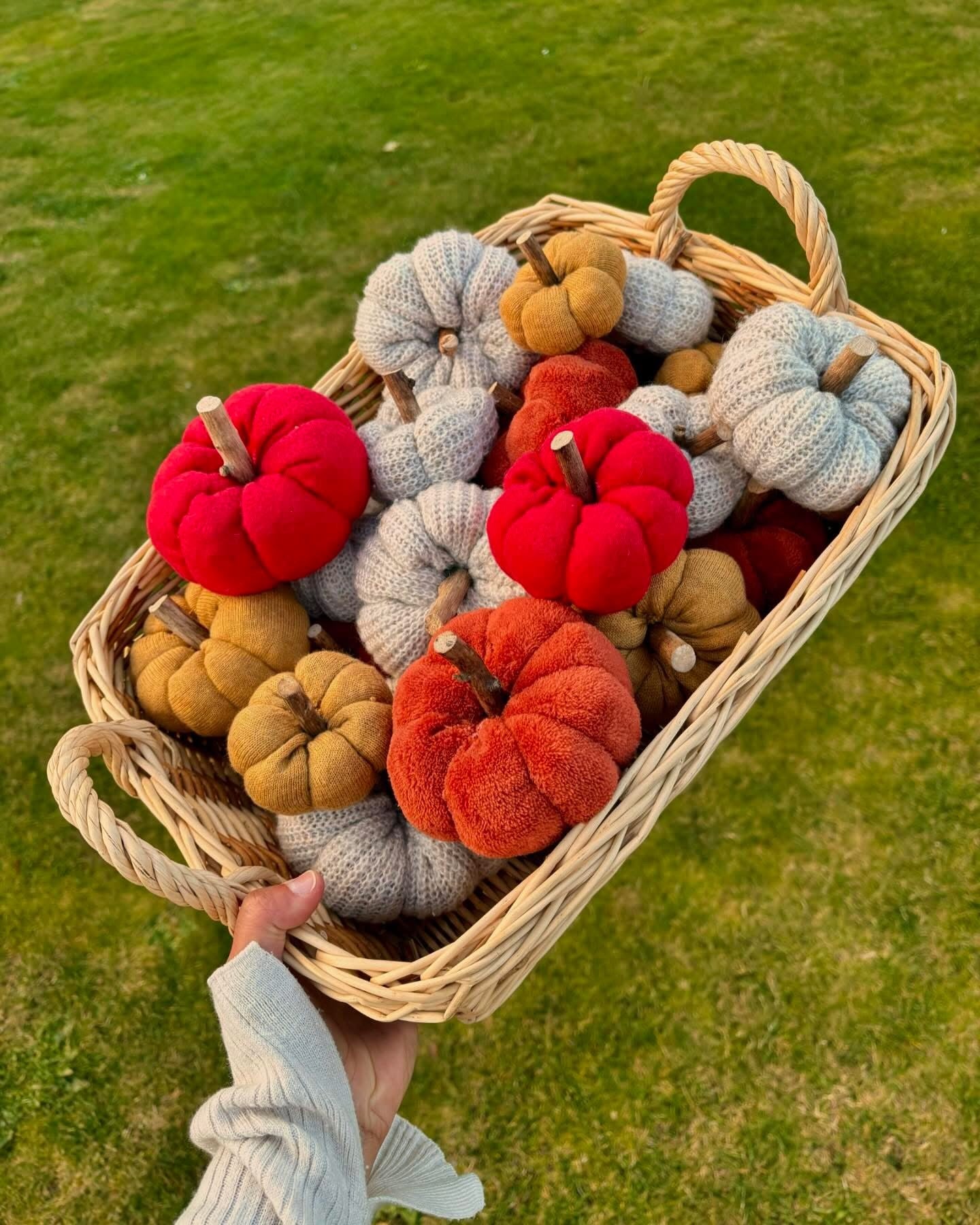 Mystery Pumpkin Bag