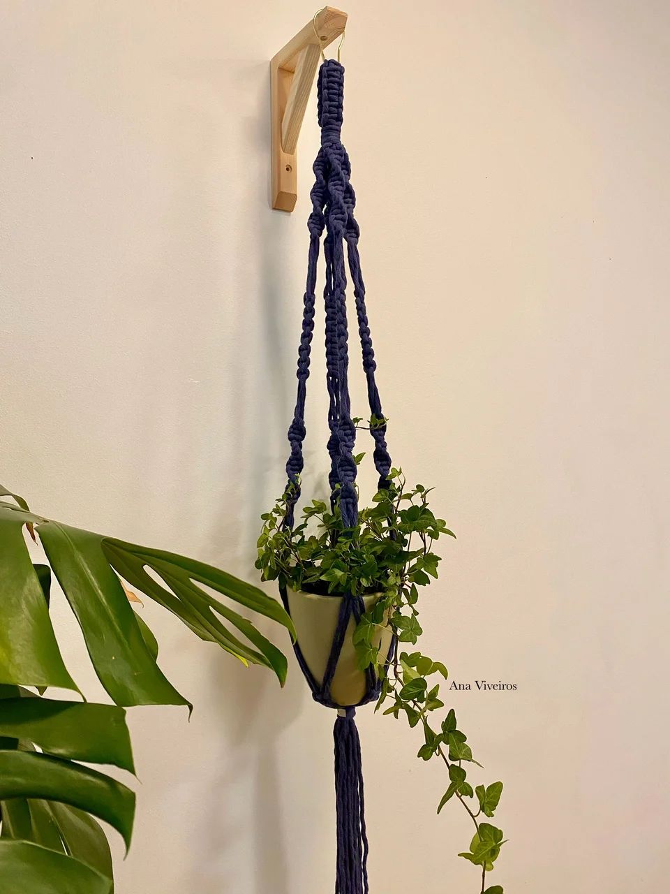Plant hanger