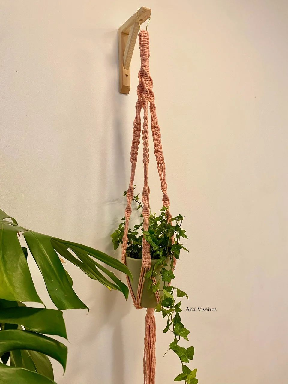 Plant hanger