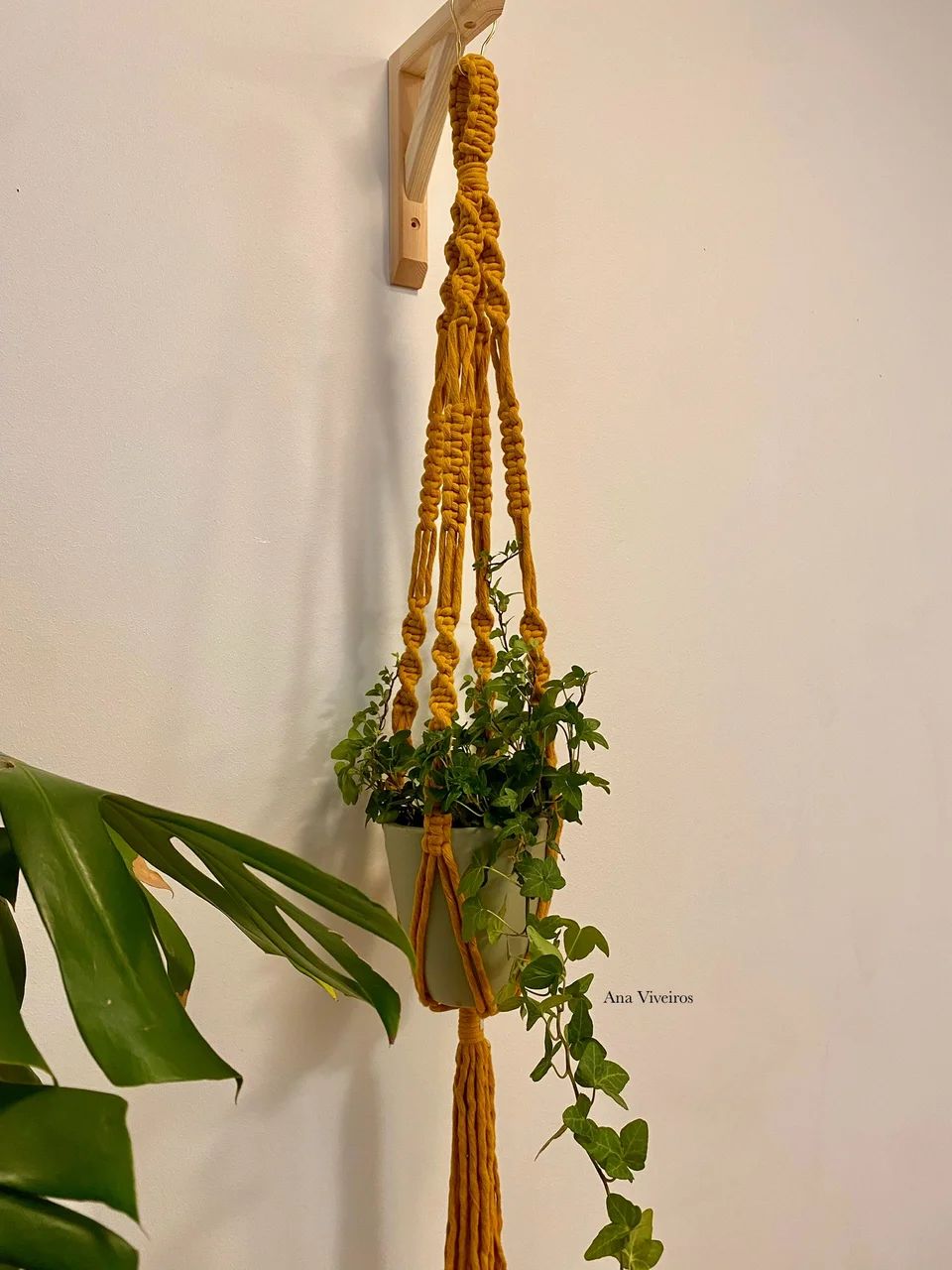 Plant hanger