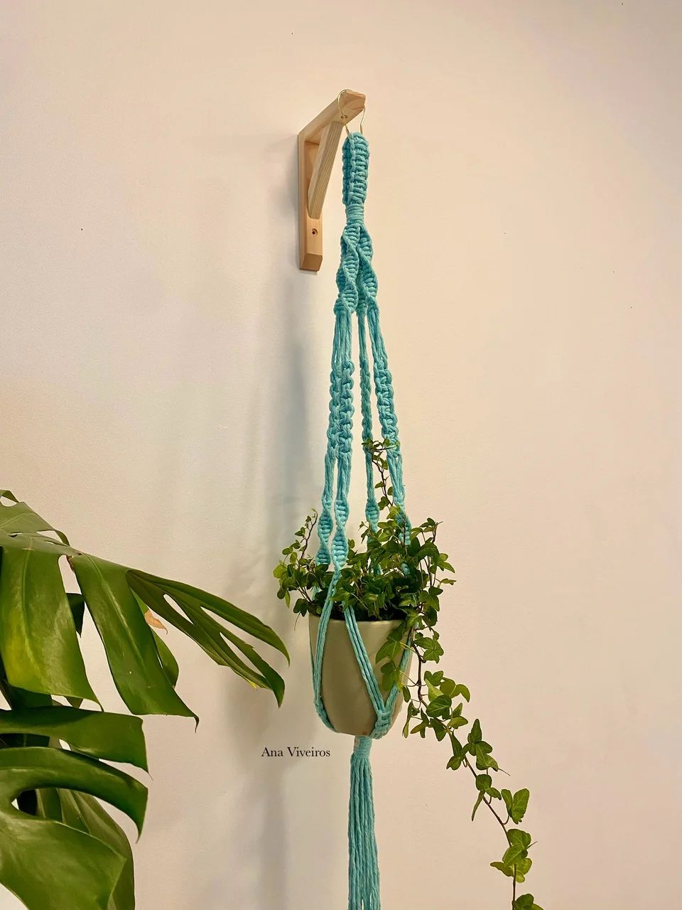 Plant hanger