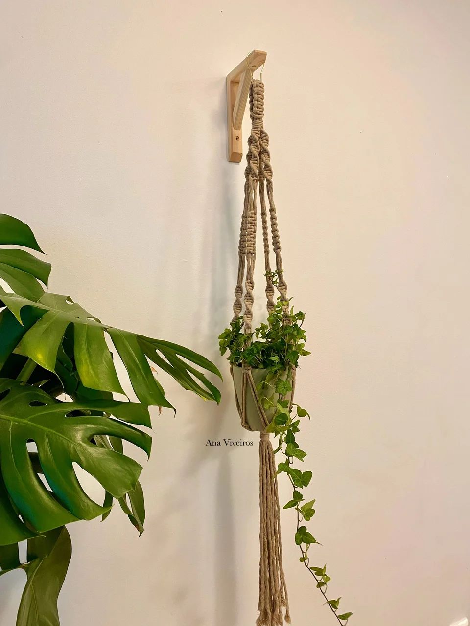 Plant hanger