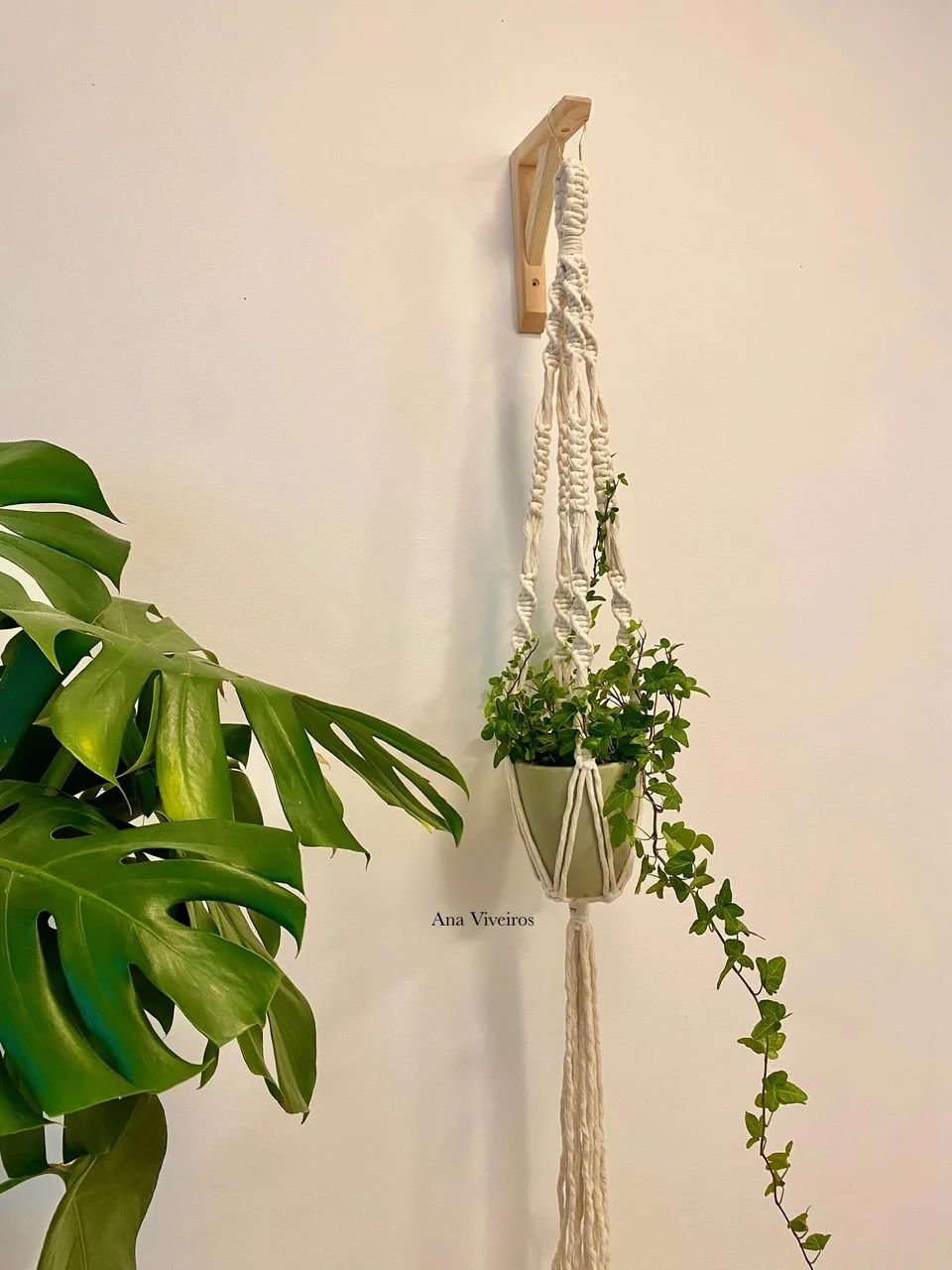 Plant hanger