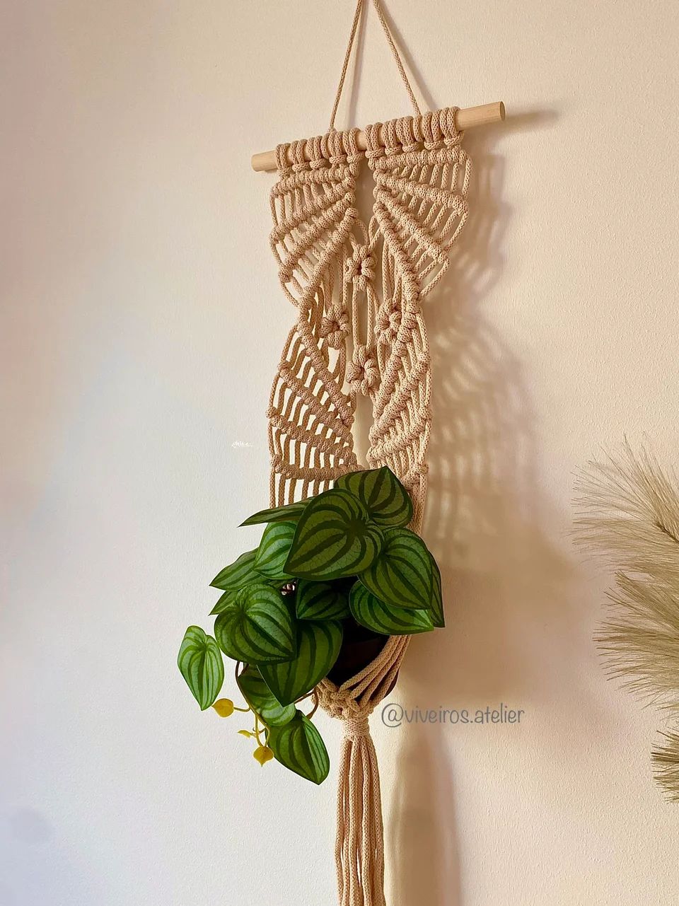 Plant hanger - Pantanal